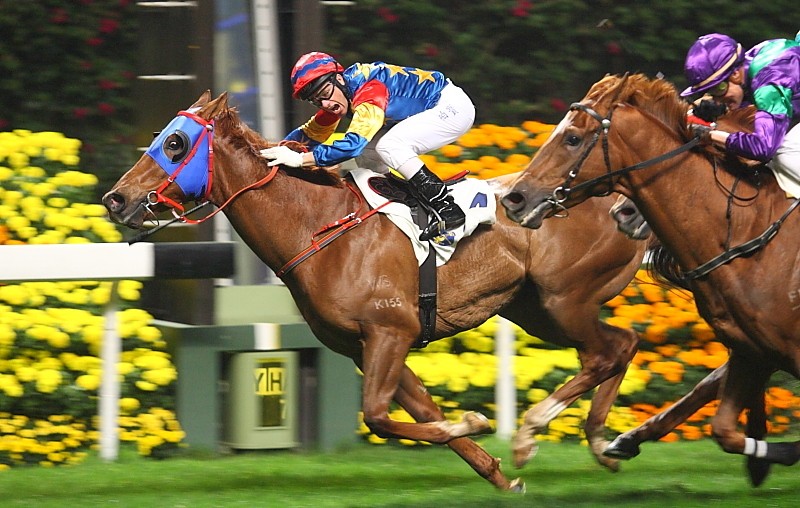 Đua Ngựa Và Kinh Tế